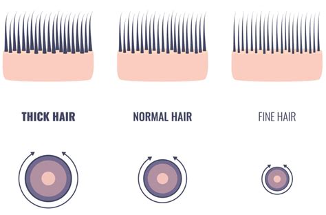 how do you measure hair thickness|hair thickness under hair.